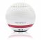 Loa Soundmax R-100