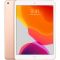 MÁY TÍNH BẢNG IPAD GEN 7 WIFI 10.2 INCH MW762ZA/A (GOLD)