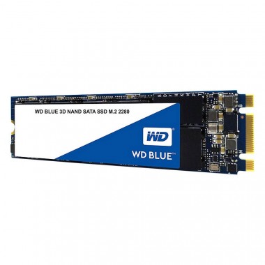 Ổ cứng SSD WD 250GB WDS250G2B0B (M2-2280)