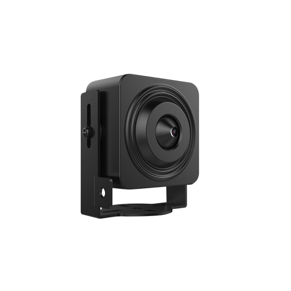 Camera IP ngụy trang 2.0 Megapixel HIKVISION DS-2CD2D21G0-D/NF