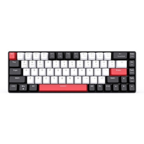 Bàn phím cơ Gaming không dây EK368L Black-White Brown Switch